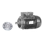 HBV80B4-230400-50 B5-IP55