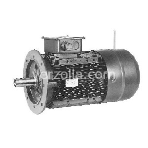 Immagine di HBZ112M6-230400-50B5-IP55-L,V