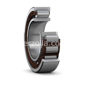 Immagine di NU 2219 ECJ