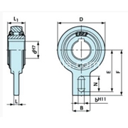 RSCI 30